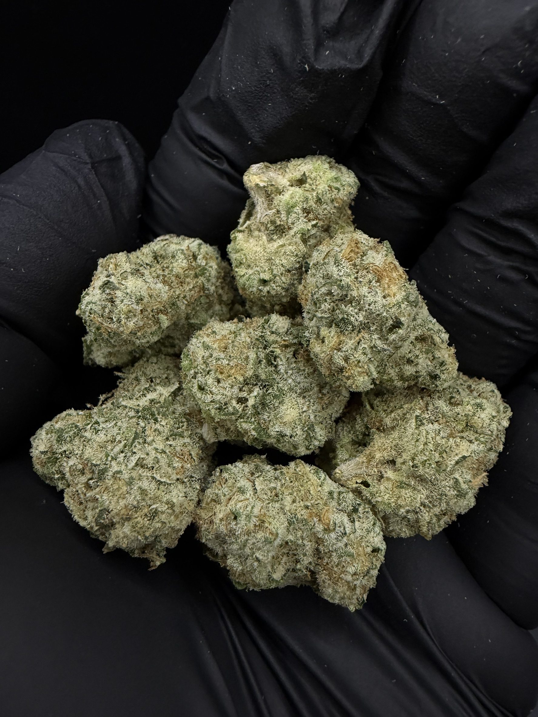 Alien Mints KS