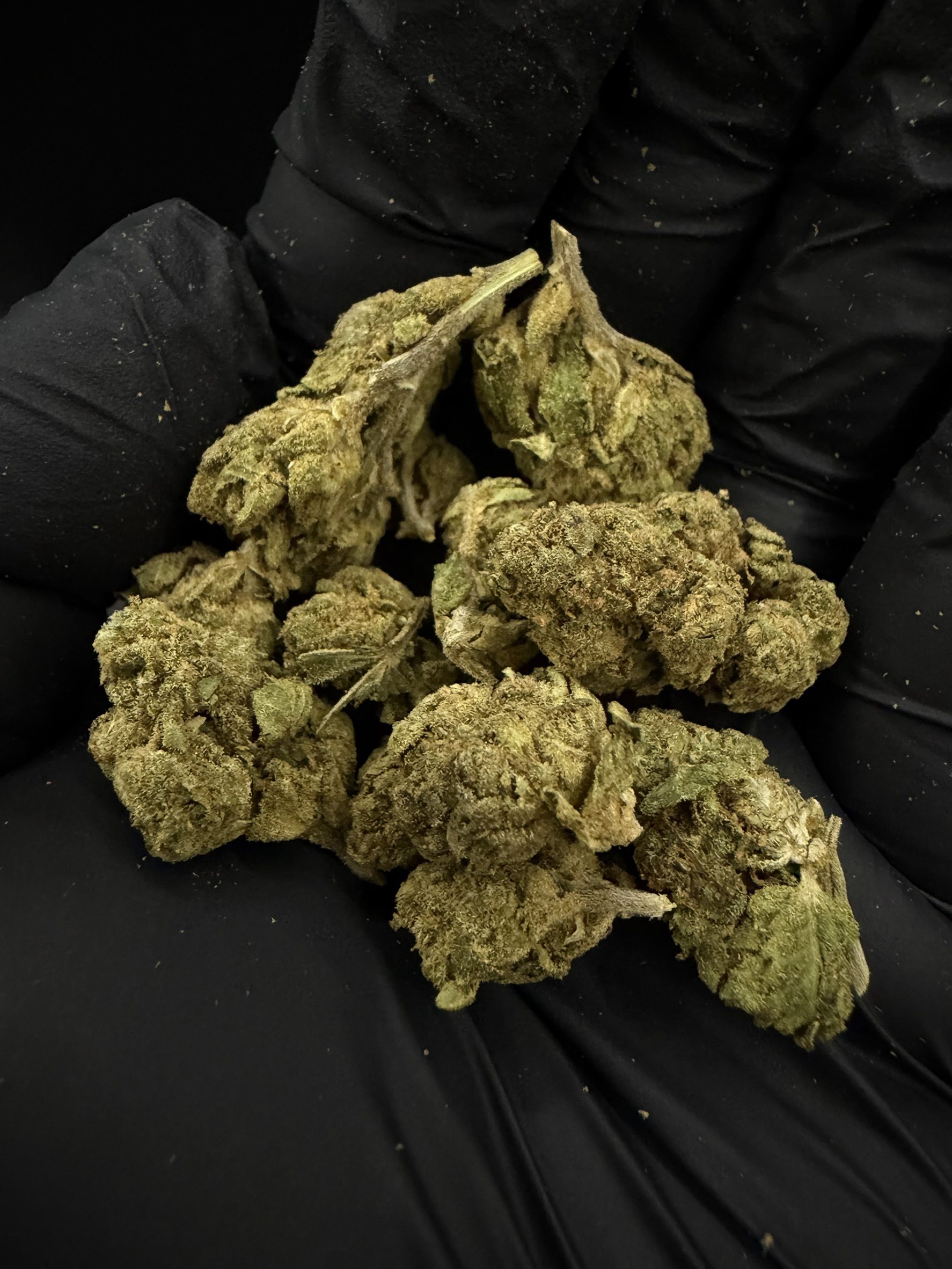 Blueberry Cookies