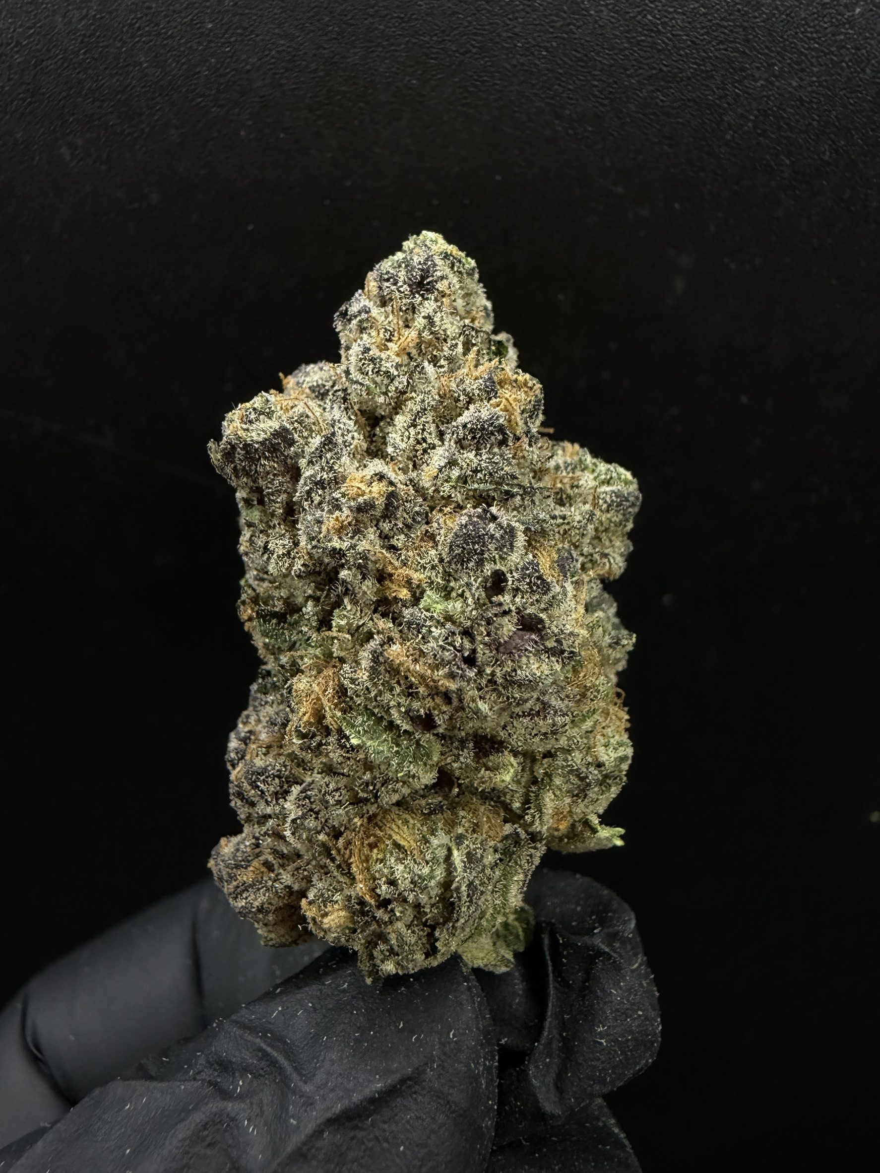 Cherry Punch