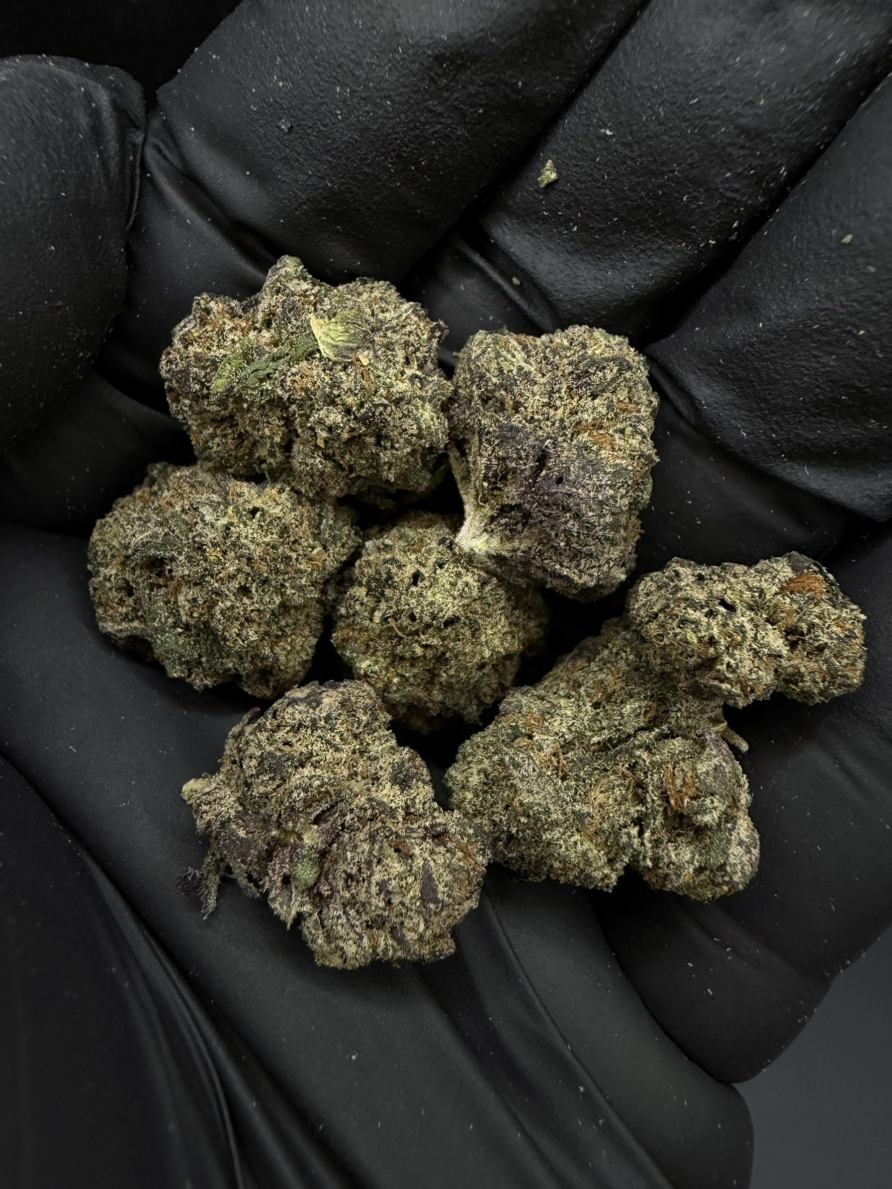 Cream Cake