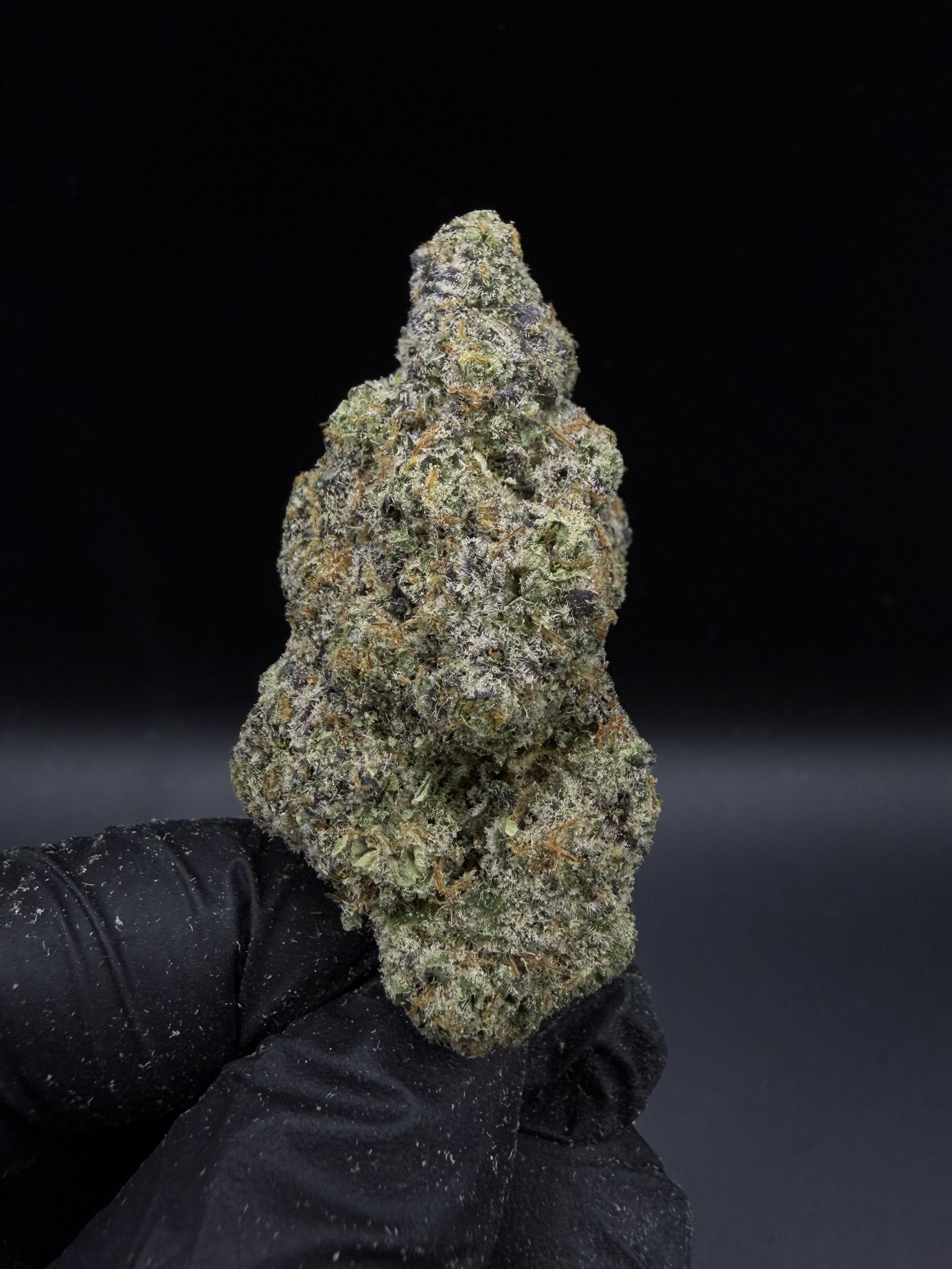 Frosted Boof