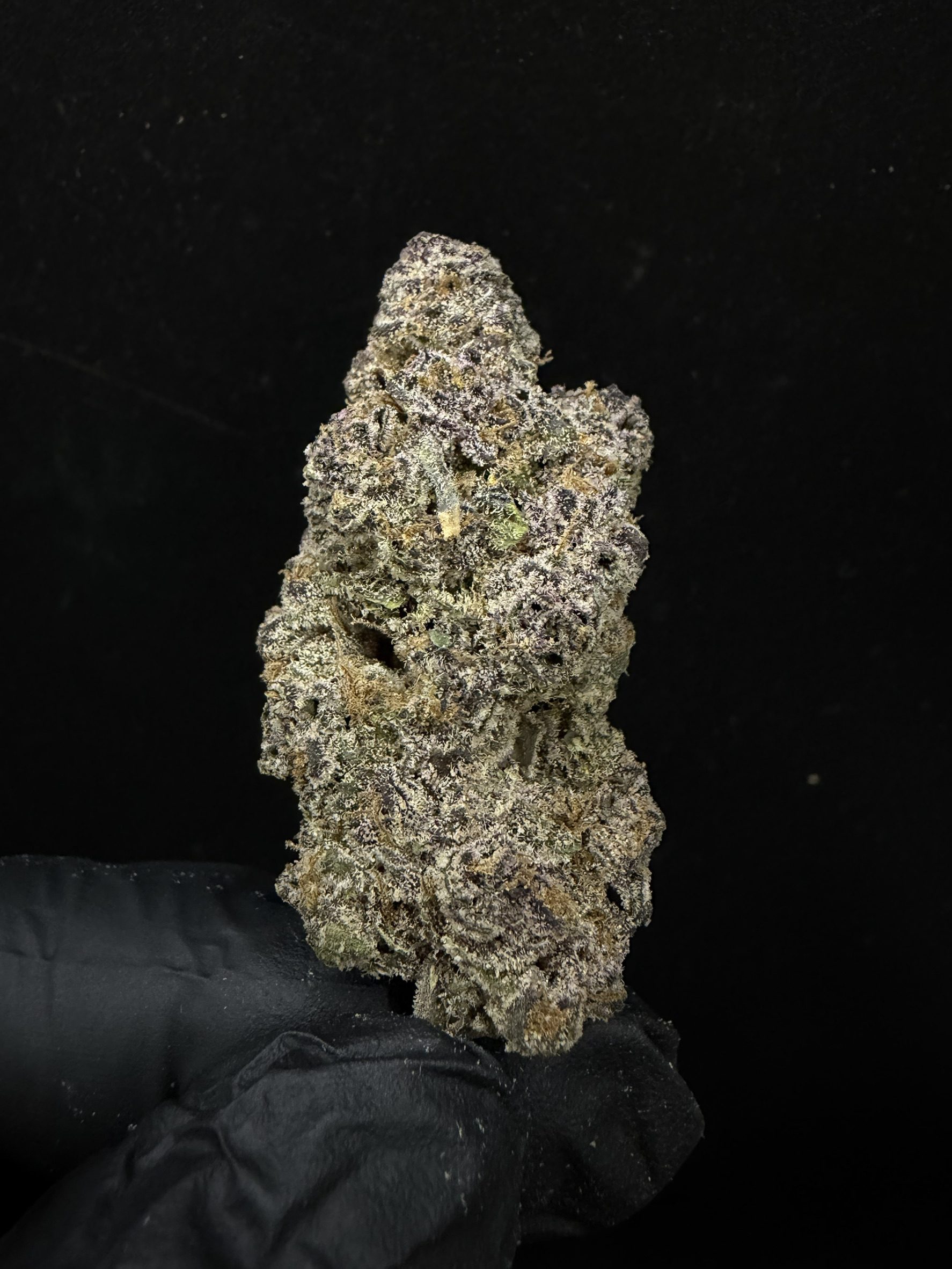 Frozen Joker