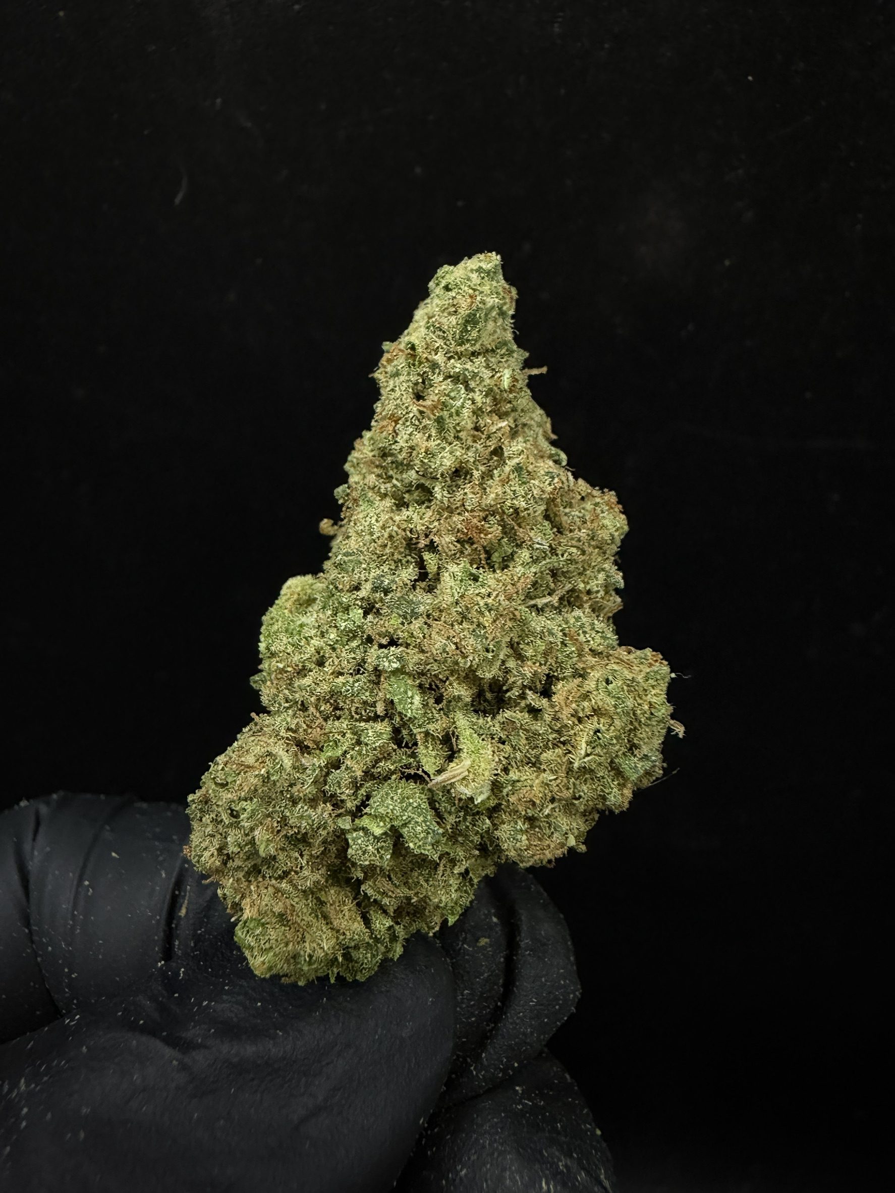 Lemon Haze