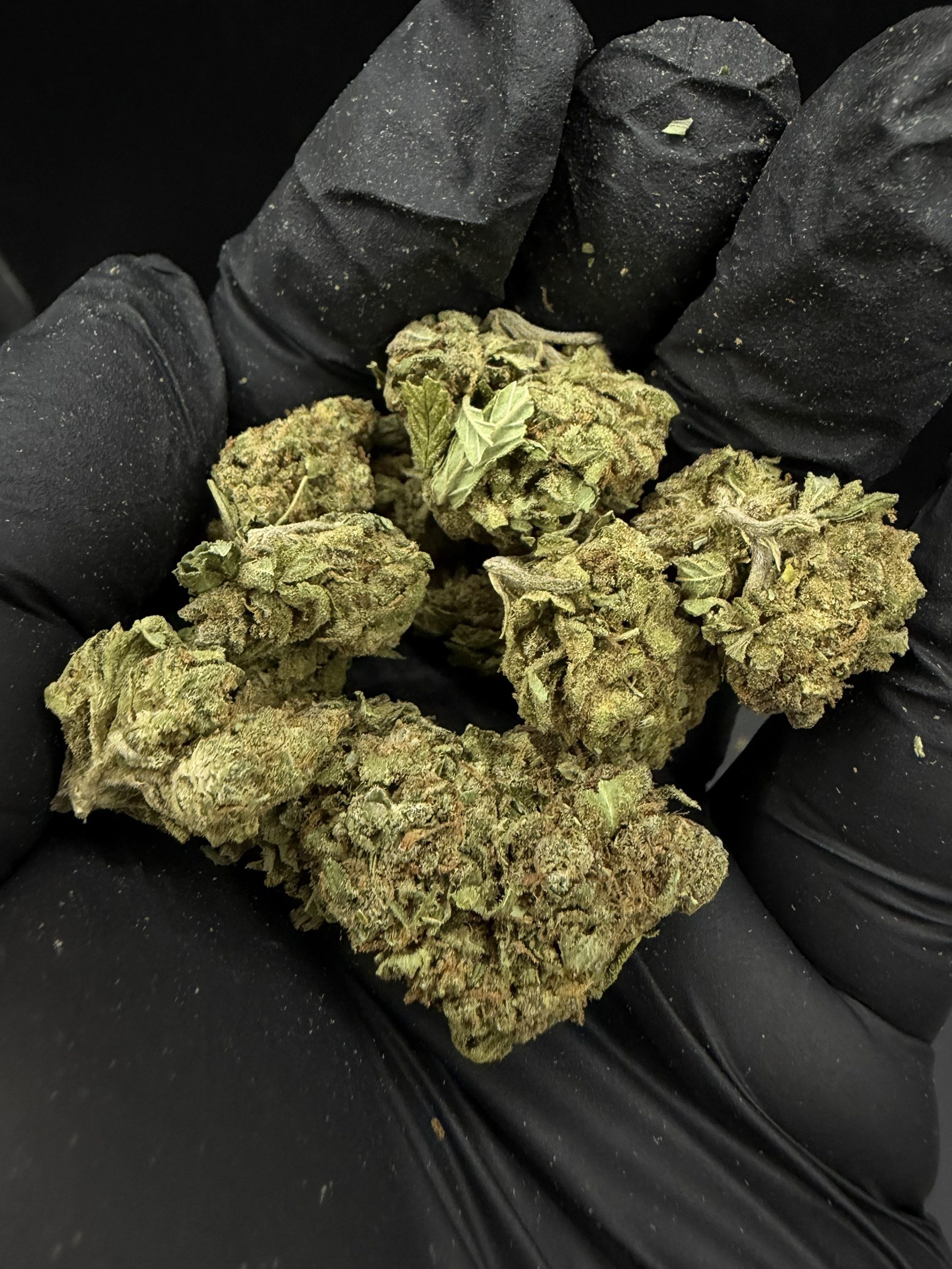 Lemon Haze