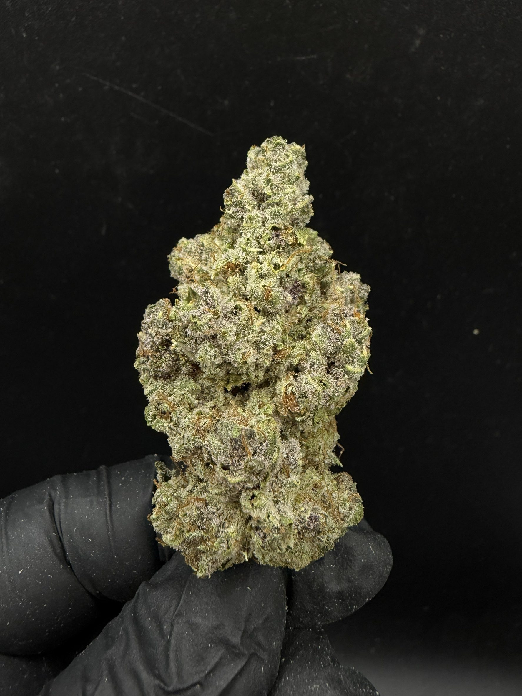 Razzberry Rocket