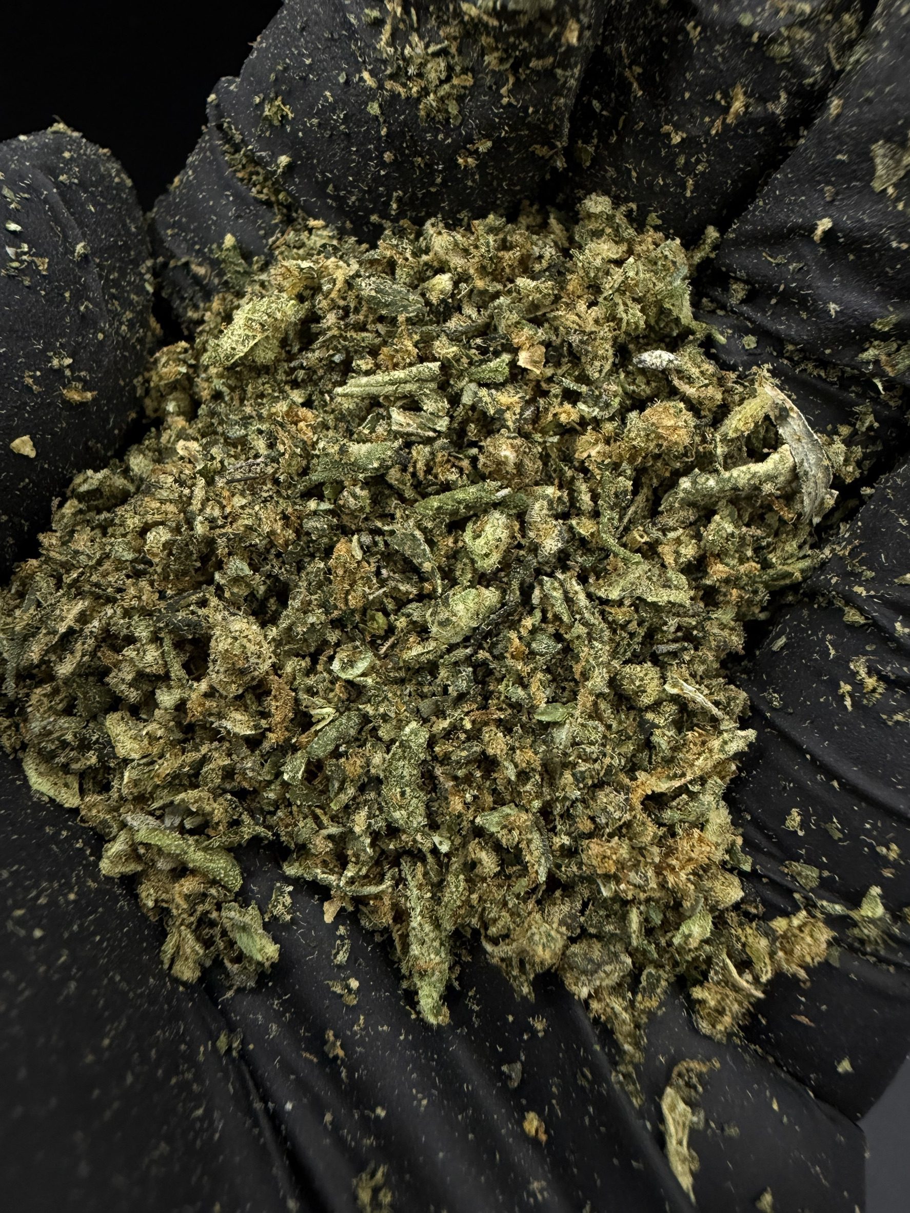 Trim Gucci OG