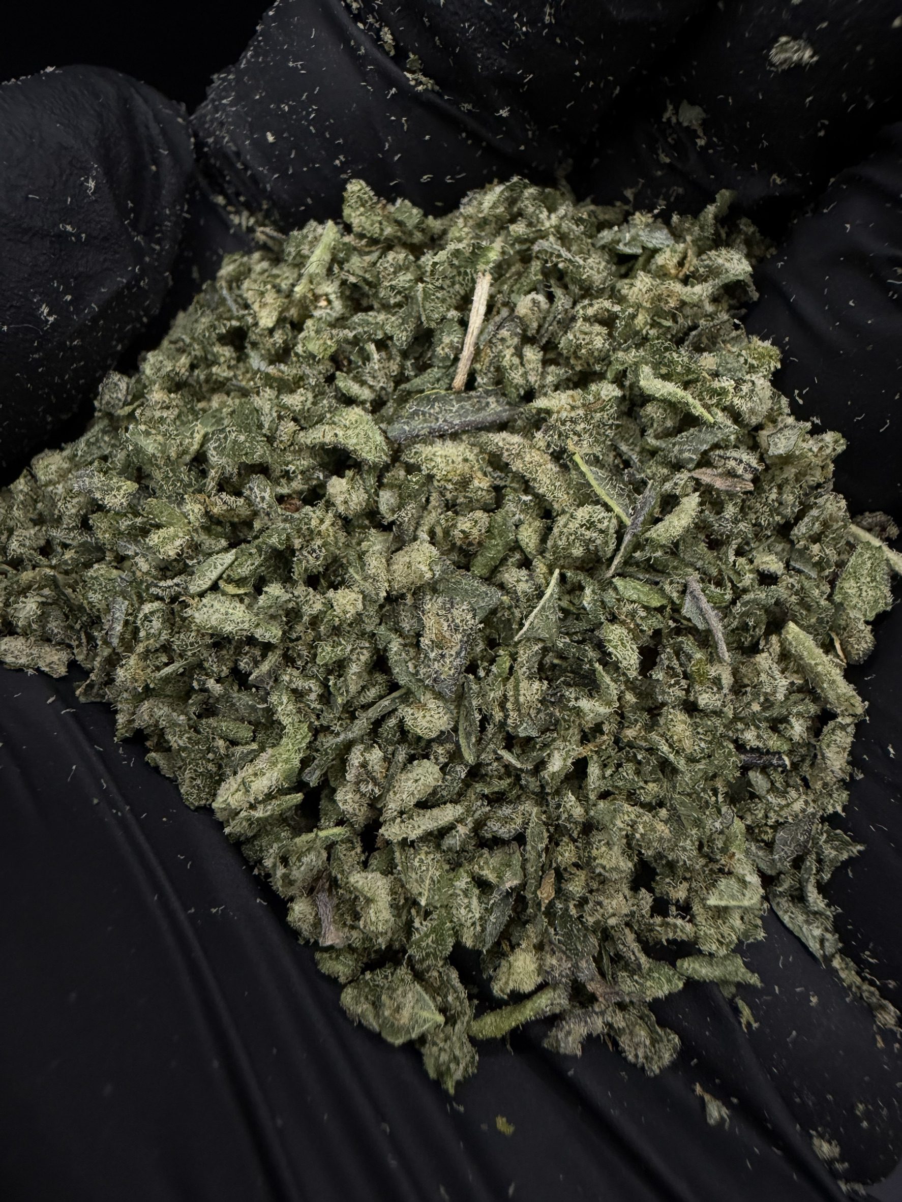 Trim Mac 1